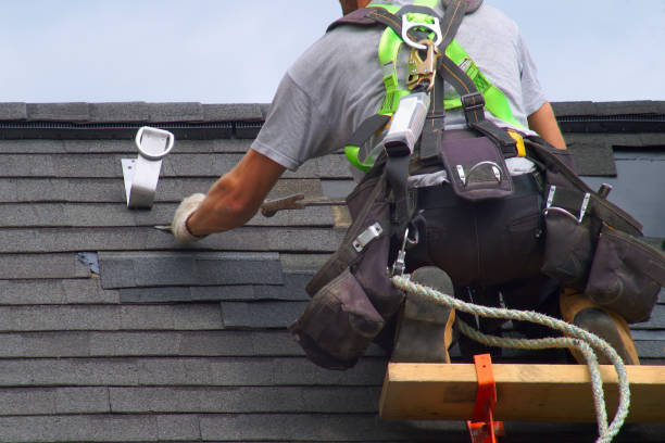 Best Metal Roofing Contractor  in Fisher, IL