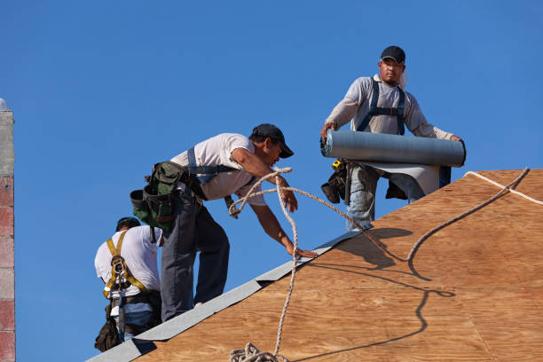 Best New Roof Installation  in Fisher, IL