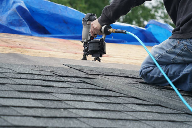 Best Storm Damage Roof Repair  in Fisher, IL