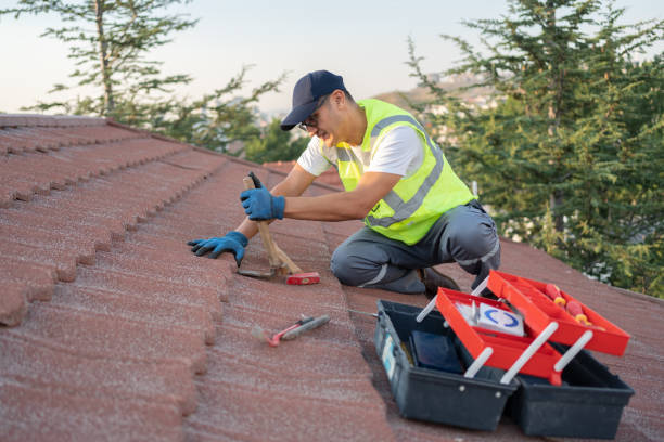 Best Flat Roof Repair Services  in Fisher, IL