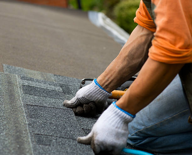 Roof Gutter Cleaning in Fisher, IL