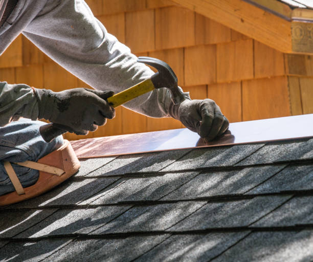 Best Roof Maintenance Services  in Fisher, IL